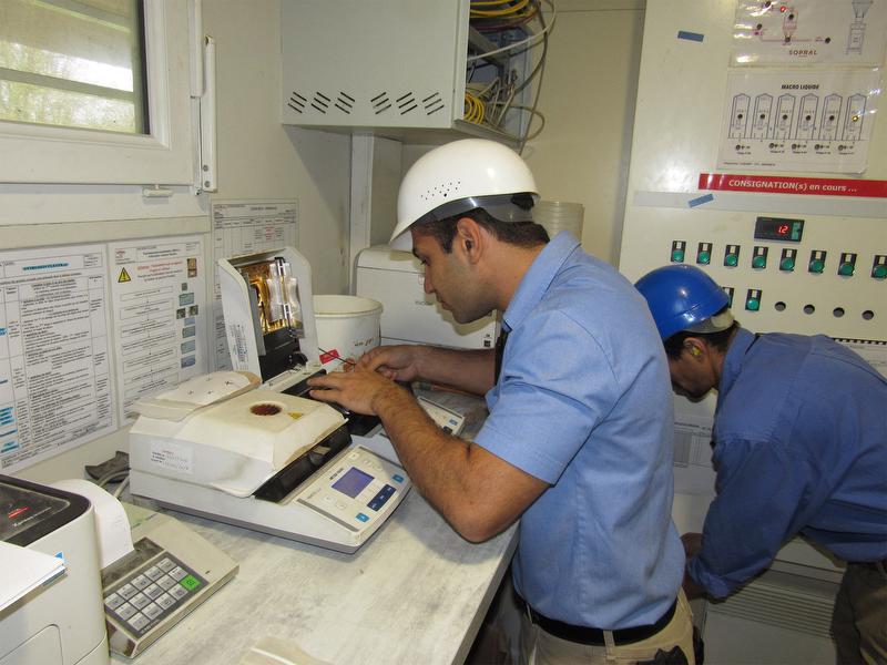 Transforming Customer Vision into Efficient Pet Food Production Solutions